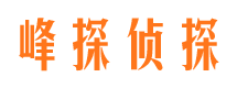 广宁找人公司